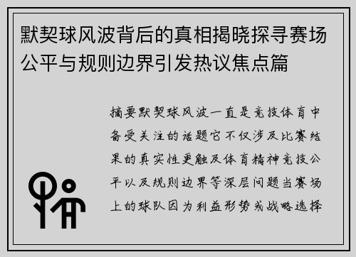默契球风波背后的真相揭晓探寻赛场公平与规则边界引发热议焦点篇